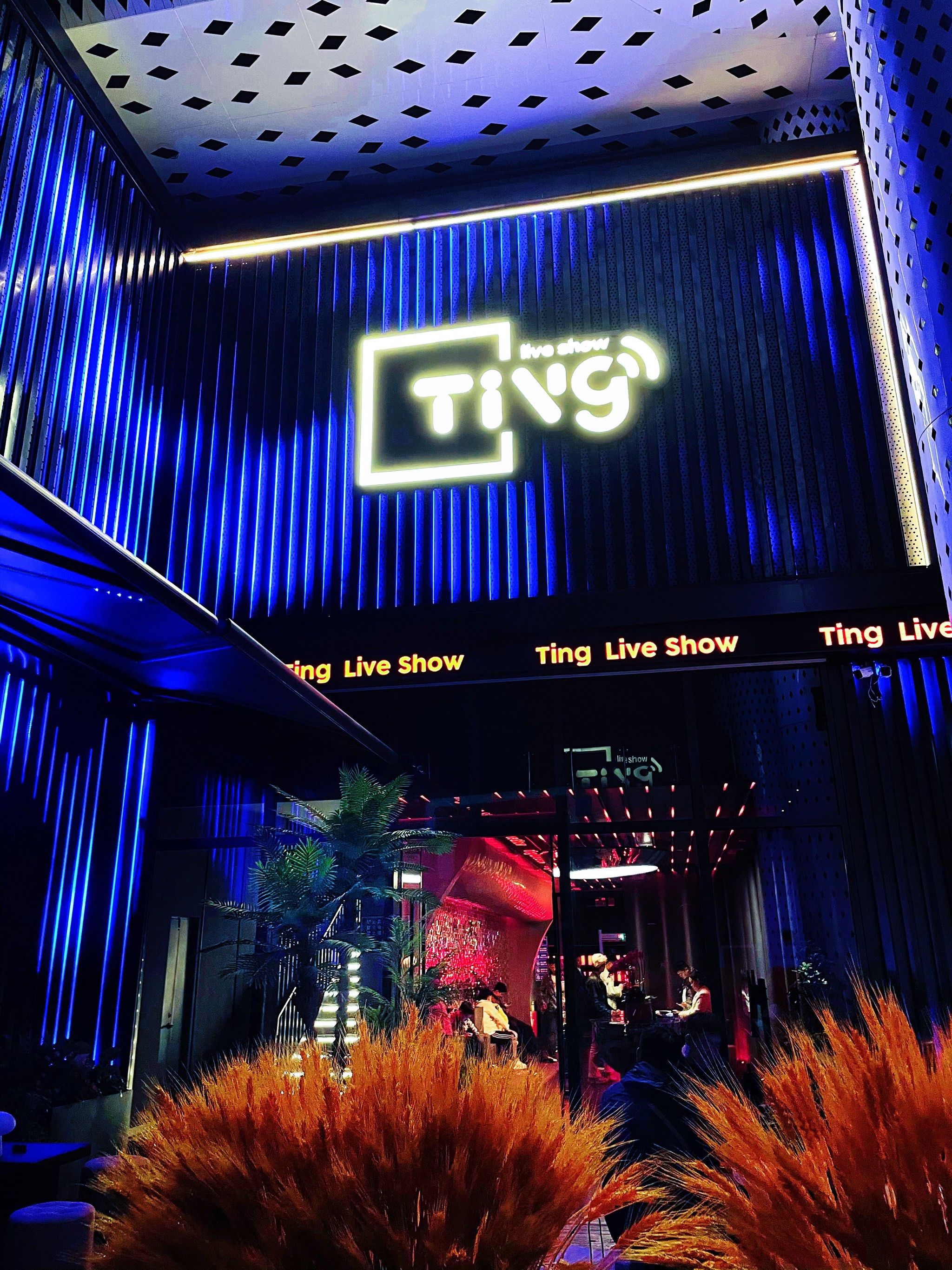 赣州商务ktv解释-大余县ktv预定